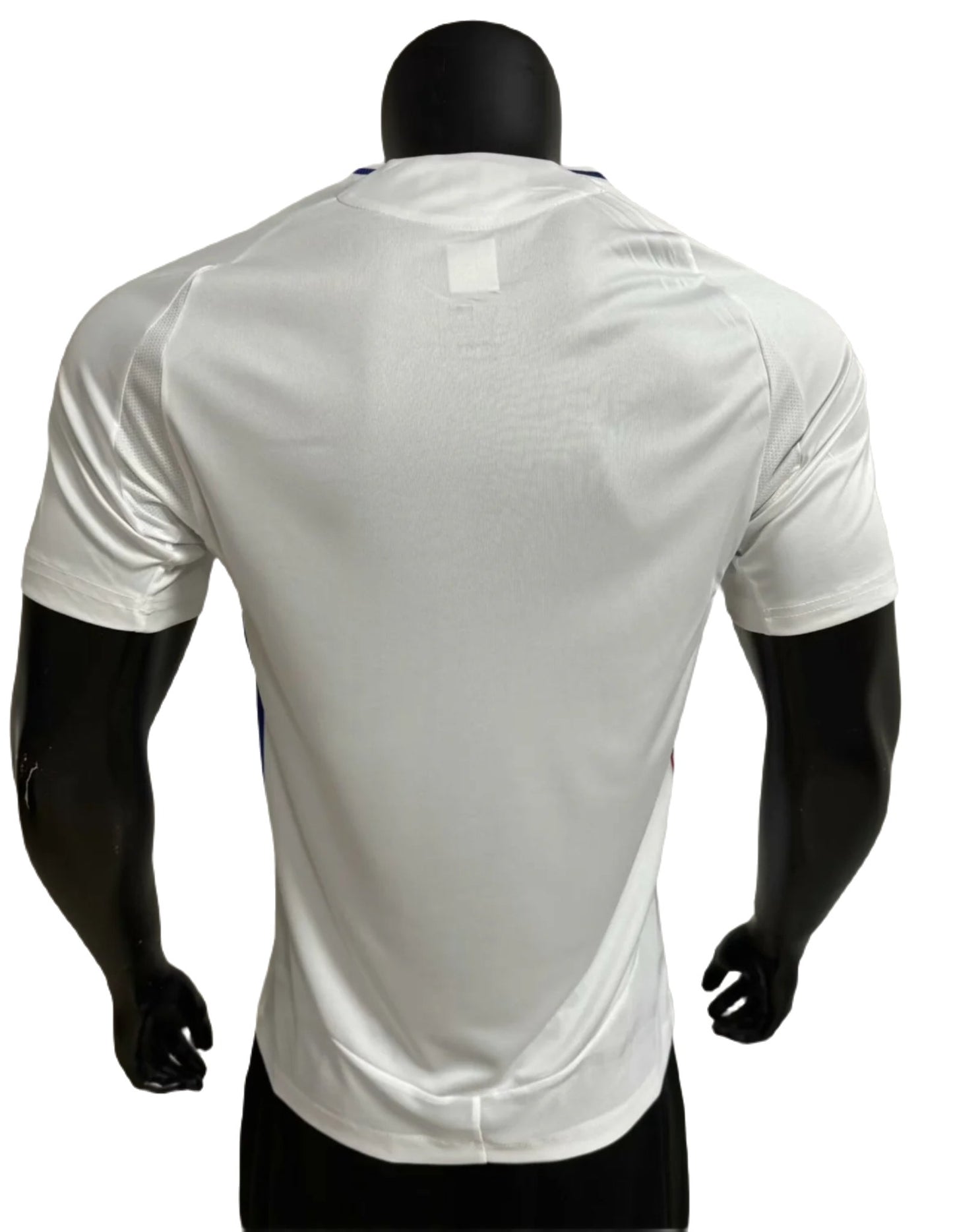 Olympic Lyon Player Version 2024/25