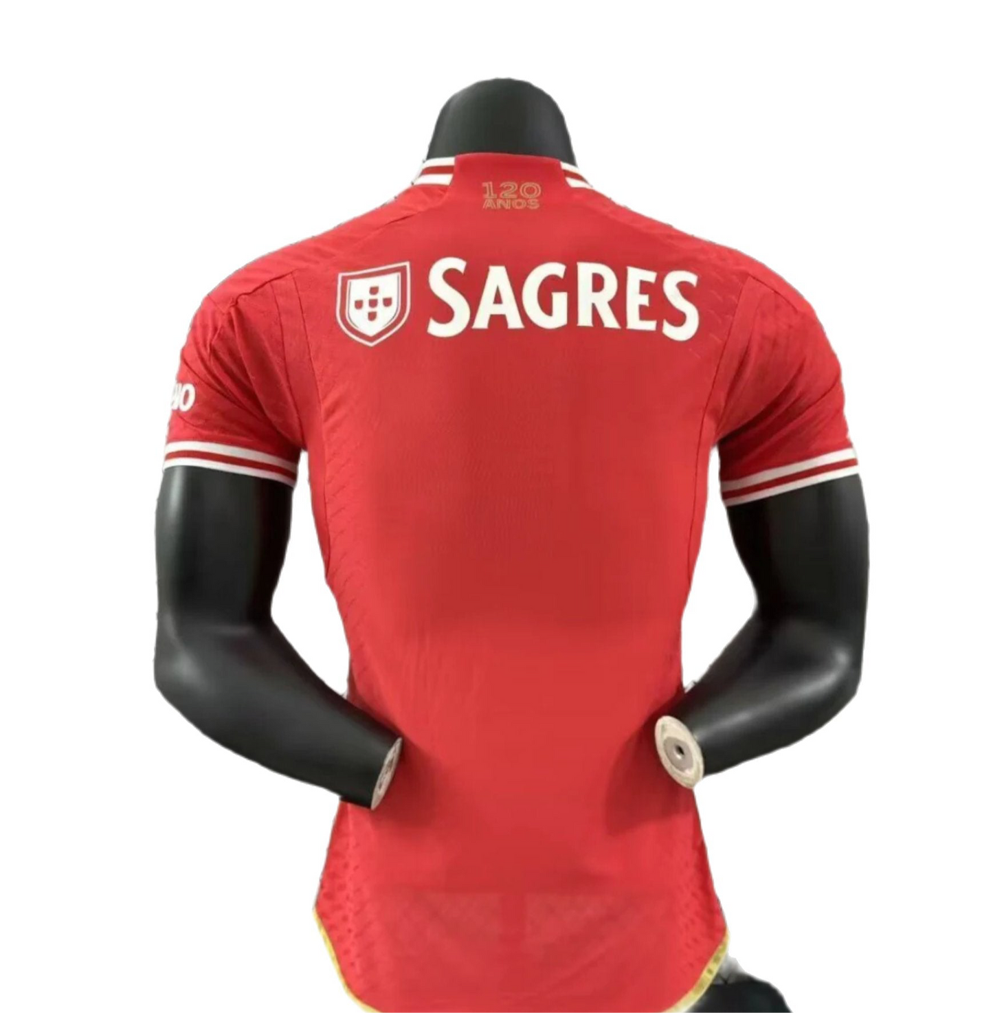 Benfica Player Version 2024/25