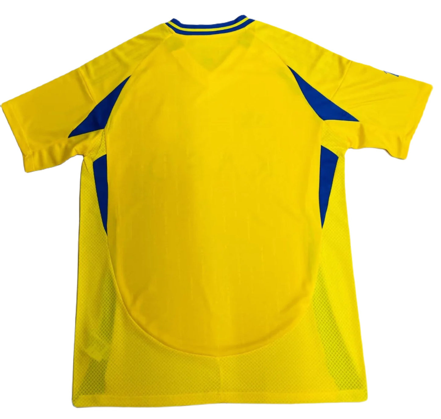 Al-Nassr 2024/25