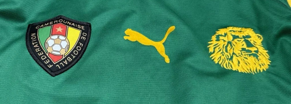 Camerún 2002